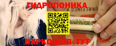 mdpv Кимры