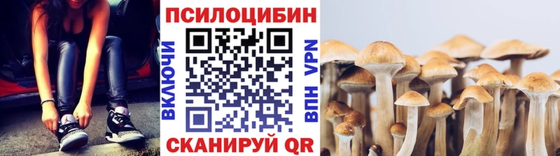 купить наркоту  hydra ссылка  Псилоцибиновые грибы Psilocybine cubensis  Кудымкар 
