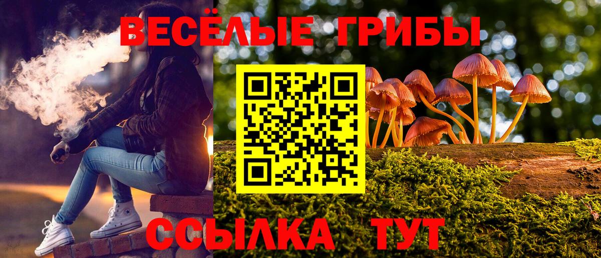 Псилоцибиновые грибы мицелий  Вход с VPN  Кудымкар  Псилоцибиновые грибы Psilocybe 